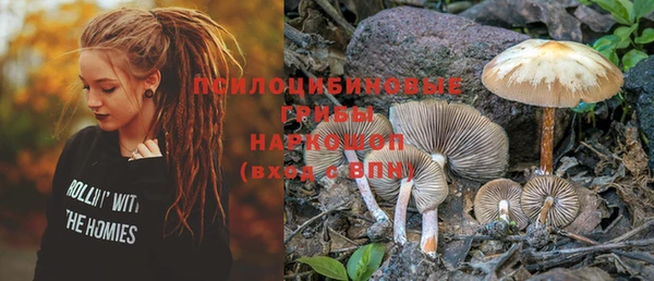 mix Надым