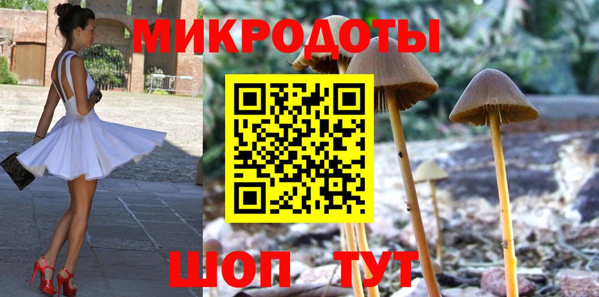 Галлюциногенные грибы GOLDEN TEACHER  Вход с VPN  Куйбышев 